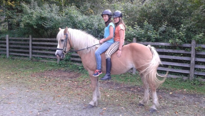 Reiten, © Familie Gasteiner Reiten, © Familie Gasteiner
