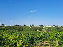 images, © Herbert Wallner images, © Herbert Wallner