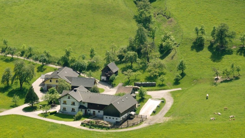 Biohof Steg, © Aigner Biohof Steg, © Aigner