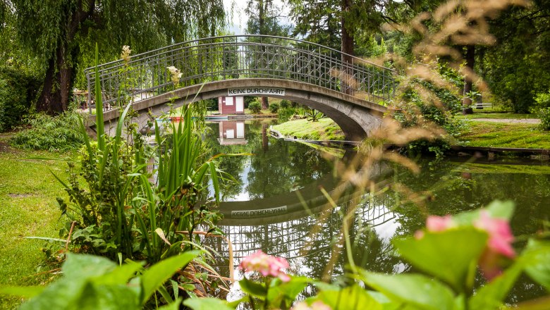 Kurpark Reichenau, © Wiener Alpen/Nadja Meister Brücke über einen Teich im Kurpark Reichenau mit Pflanzen im Vordergrund.