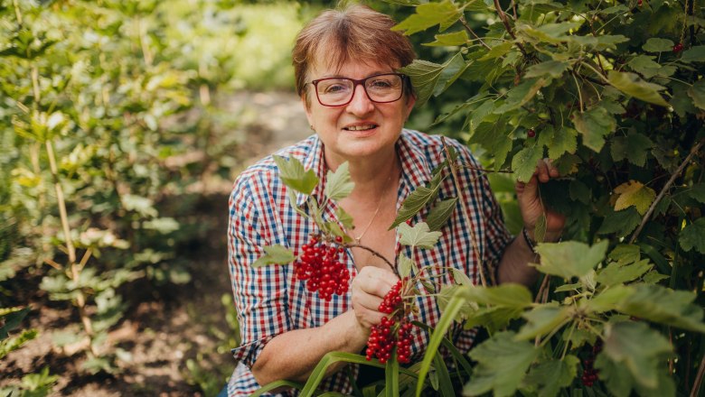 Wirtin Herta Falkensteiner, © Niederösterreich Werbung/Daniela Führer Frau in kariertem Hemd pflückt rote Beeren im Garten.