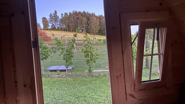 Sicht nach draußen, © Andreas Artner Sicht nach draußen, © Andreas Artner