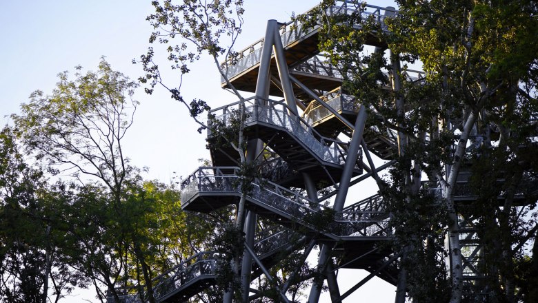 Baumwipfelweg DIE GARTEN TULLN, © A. Haiden Metallkonstruktion eines Baumwipfelpfads inmitten von Bäumen.