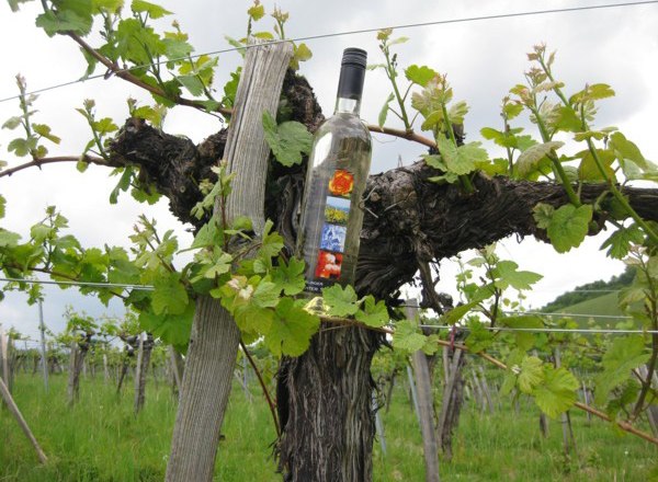 meissner2, © meißner meissner2, © meißner