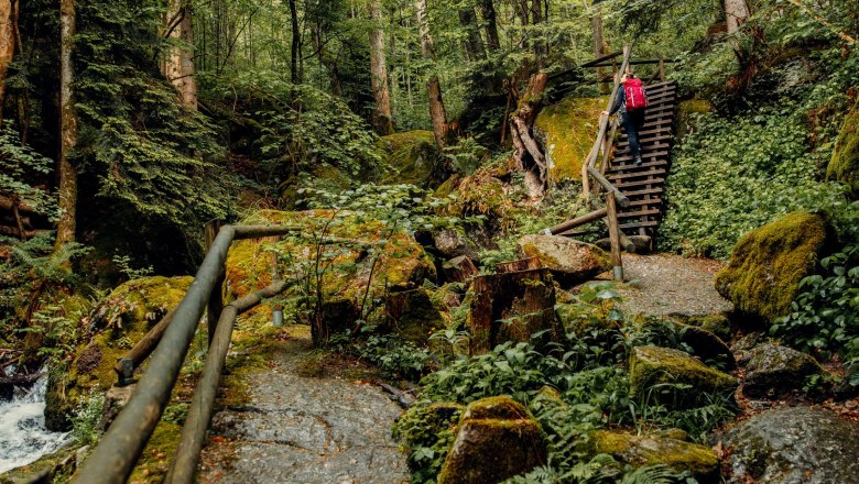 Druidenweg, © Creative Jungle Ein Mann in gelber Jacke steht vor einem kleinen Wasserfall im Wald.