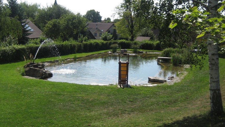 Gemeinde Brunn an der Wild, © Gemeinde Brunn an der Wild Ein kleiner Teich mit Springbrunnen in einem grünen Park, umgeben von Bäumen und Häusern im Hintergrund.