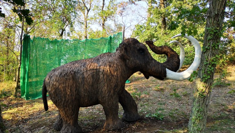 3D-Bogenparcour, © Peter Aufmesser 3D-Bogenparcour, © Peter Aufmesser