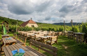 Weingut Höllmüller Garten mit Heurigenbetrieb, © Familie Höllmüller Weingut Höllmüller Garten mit Heurigenbetrieb, © Familie Höllmüller