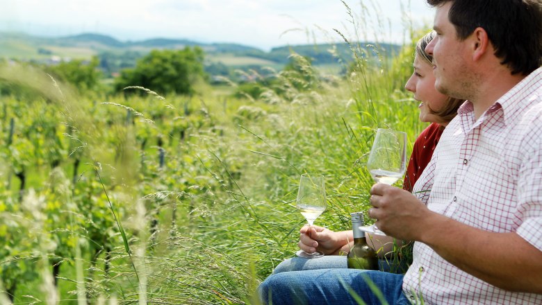 Winzerhof Schildberger-Böck, © weinfranz.at Winzerhof Schildberger-Böck, © weinfranz.at