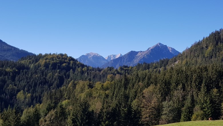 Sommer, © Gasthof Stiegenwirt Sommer, © Gasthof Stiegenwirt