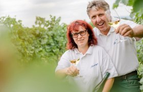 Weingut Herzinger, © schwarz-koenig.at Weingut Herzinger, © schwarz-koenig.at