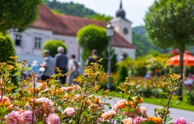 Rosengarten mit Pfarrhof Pitten, © Wiener Alpen, Christian Kremsl Rosengarten mit historischem Pfarrhof im Hintergrund