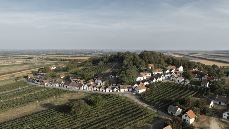 Der Galgenberg in Wildendürnbach, © Weinviertel Tourismus GmbH / Frühmann Luftaufnahme der Kellergasse Galgenberg in Wildendürnbach mit Weinbergen und kleinen Häusern.