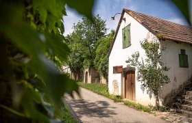 Kellergassse Göttlesbrunn, © Donau Niederösterreich - Tourismusbüro Carnuntum-Marchfeld Kellergassse Göttlesbrunn, © Donau Niederösterreich - Tourismusbüro Carnuntum-Marchfeld