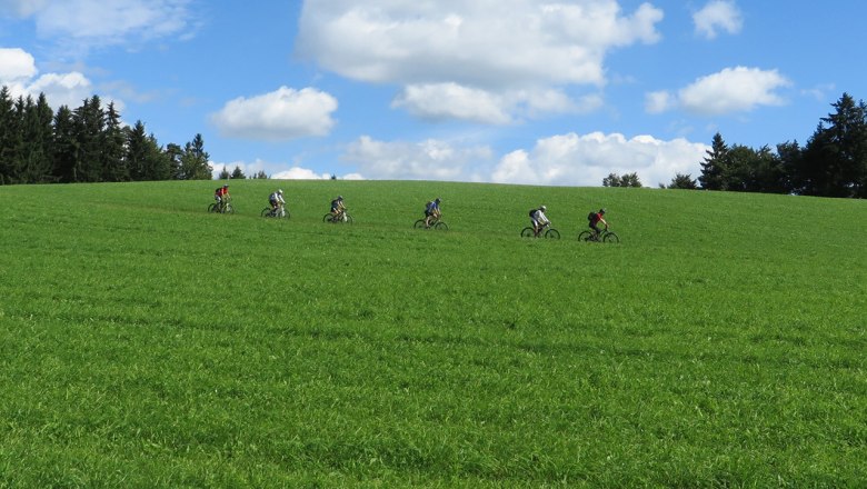 Beim Einfalt B&B | Radfahren im Waldviertel, © Familie Einfalt Beim Einfalt B&B | Radfahren im Waldviertel, © Familie Einfalt