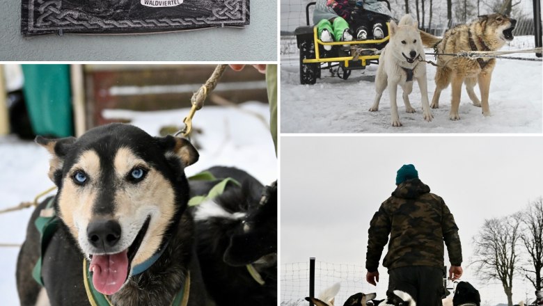 Spüre die Magie des Nordens - Huskystadl hautnah erleben, © Huskystadl Spüre die Magie des Nordens - Huskystadl hautnah erleben, © Huskystadl