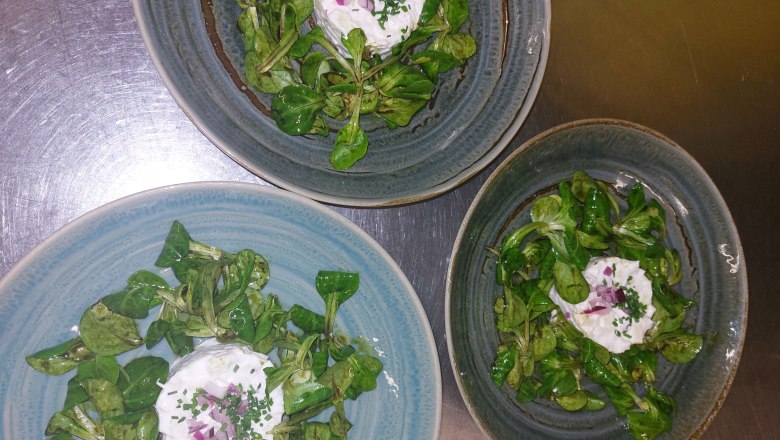 Apfel-Kren Tartare mit Vogerlsalat, © HIRSCH28 Apfel-Kren Tartare mit Vogerlsalat, © HIRSCH28