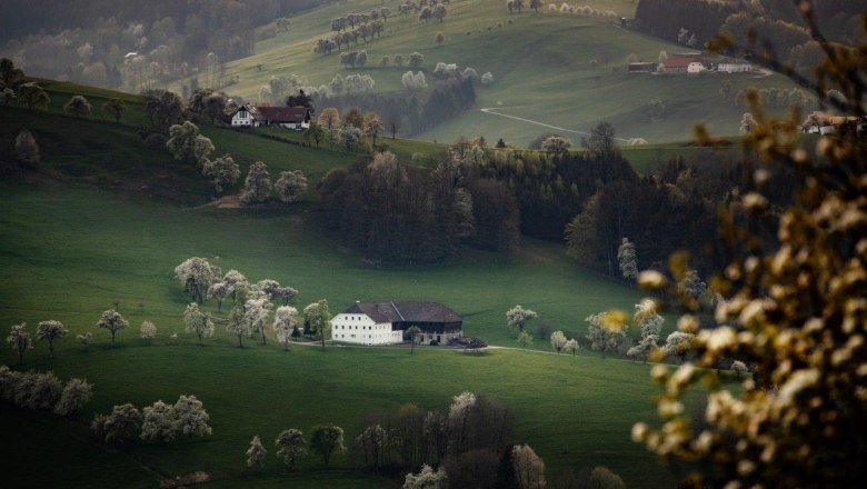 Fotopunkt St. Michael Süd, © schwarz-koenig.at Fotopunkt St. Michael Süd, © schwarz-koenig.at