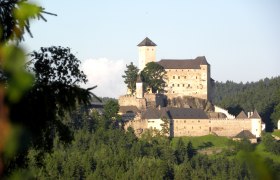 Burg Rappottenstein, © Rauch Burg Rappottenstein inmitten eines Waldes bei Tageslicht.