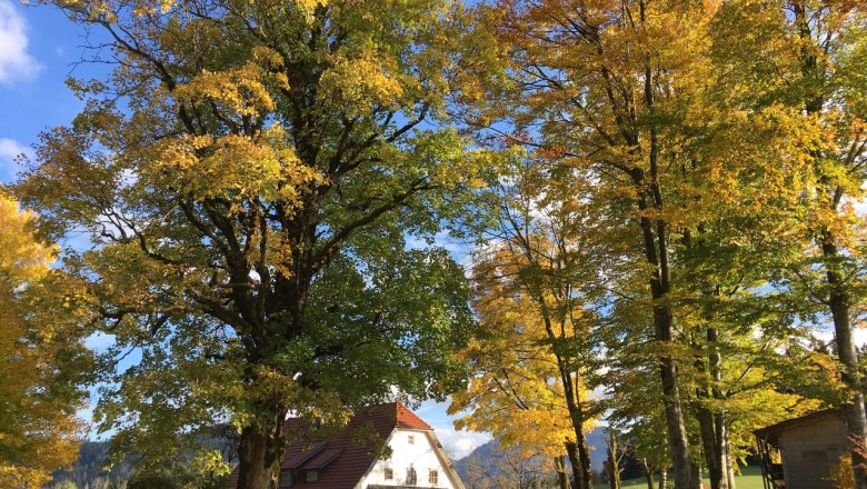 Ferienhaus Hinterbreiteneben, © Johannes Hoyos Ferienhaus Hinterbreiteneben, © Johannes Hoyos