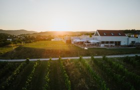 Weingut, Heuriger und Refugium., © Weingut & Weinblick Grafinger Weingut mit Terrasse und Weinreben im Sonnenuntergang.