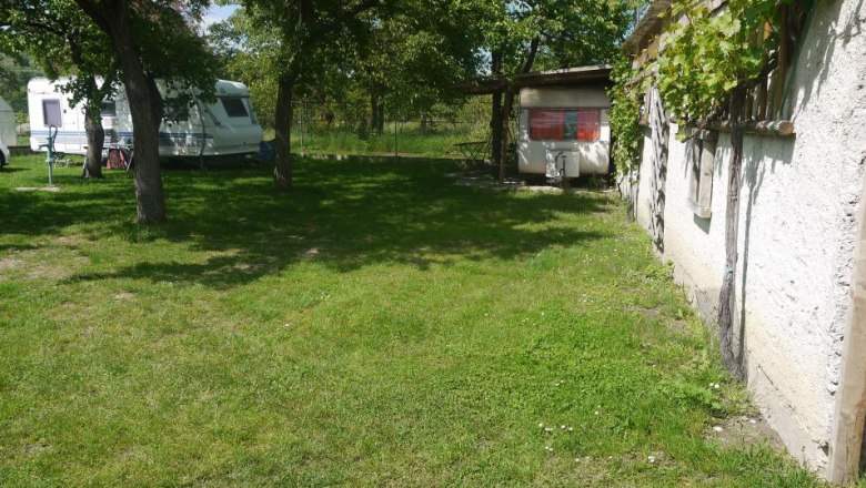 Camping unter den Marillenbäumen, © Ettenauer Weine Campingplatz mit Wohnwagen unter Bäumen, neben einem Gebäude mit Weinreben.