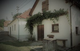 Kellergasse Seefeld, © Herbert Krautwurm Ein traditionelles weißes Gebäude mit roten Ziegeldach und Efeu an der Fassade. Im Vordergrund steht ein alter Brunnen.