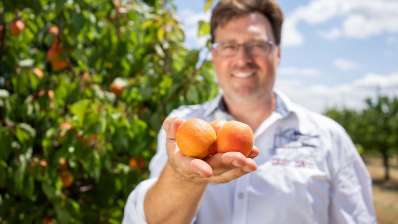 Marillenhof Hackl, © Netzwerk Kulinarik/pov.at Marillenhof Hackl, © Netzwerk Kulinarik/pov.at