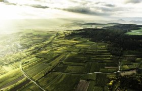 Inzersdorf, © POV Inzersdorf, © POV