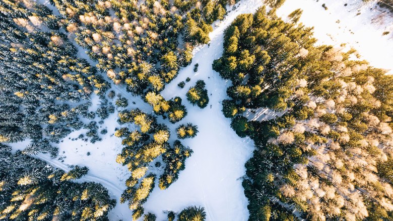 Nestelberg 17, © Sabine Wieser Nestelberg 17, © Sabine Wieser