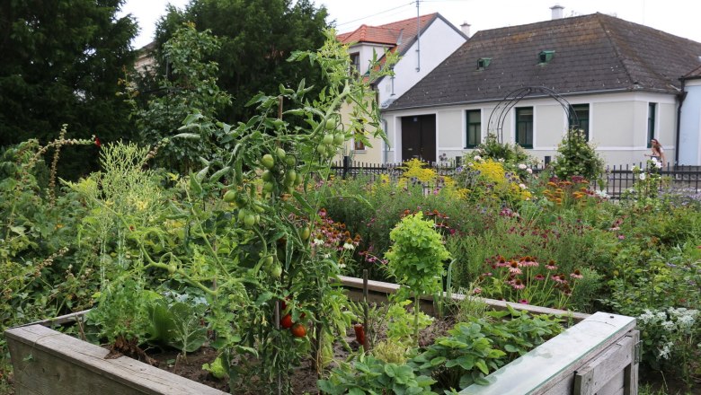Angergärten, © Wolfgang Gerzer Ein üppiger Garten mit Hochbeet voller Gemüse und Blumen vor einem Haus.