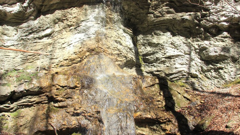 Kendler Wasserfall, © Gemeinde St. Georgen/Leys Ein kleiner Wasserfall fließt über eine Felswand, umgeben von Bäumen und Felsen.