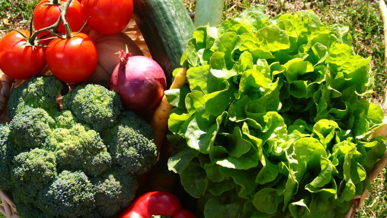 Landhof Laden Kittsee, frisches Gemüse, © Landhof Laden Kittsee Landhof Laden Kittsee, frisches Gemüse wie Salat, Paprika, Tomaten etc.