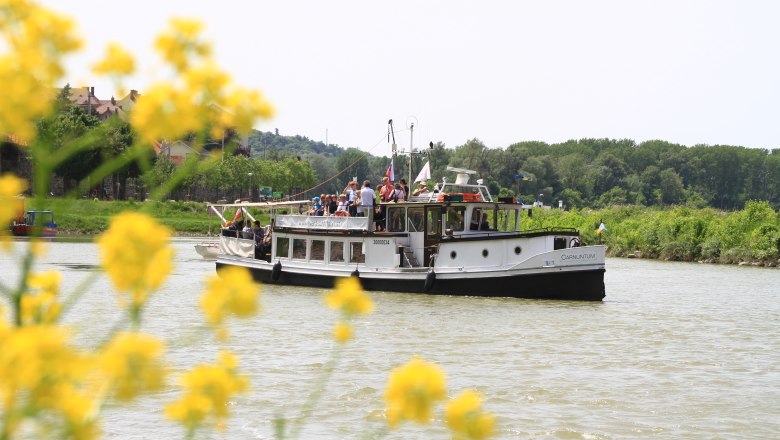 Event Schifffahrt Haider, © Event Schifffahrt Haider Ein Ausflugsboot auf einem Fluss, umgeben von grüner Landschaft und gelben Blumen im Vordergrund.