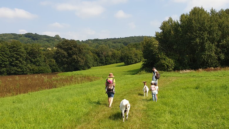 Ziegenwanderung Glücksschmiede, © Vera Bubich Ziegenwanderung Glücksschmiede, © Vera Bubich