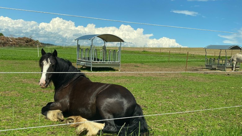 Alice liegend, © Andreas Artner Alice liegend, © Andreas Artner