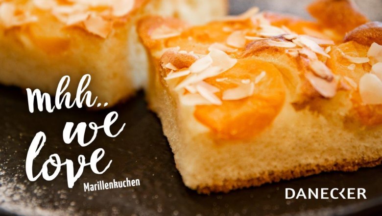 Marillenkuchen, Bäckerei Danecker, © Hannes Bittner Marillenkuchen, Bäckerei Danecker, © Hannes Bittner