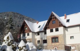 Villa Wellspacher im Winter, © de Schuster Schneebedeckte Villa Wellspacher vor einem bewaldeten Berg im Winter.