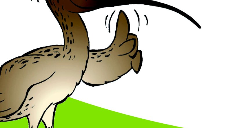 Mr. Piep Themenweg, © Marktgemeinde Ardagger Mr. Piep Themenweg, © Marktgemeinde Ardagger