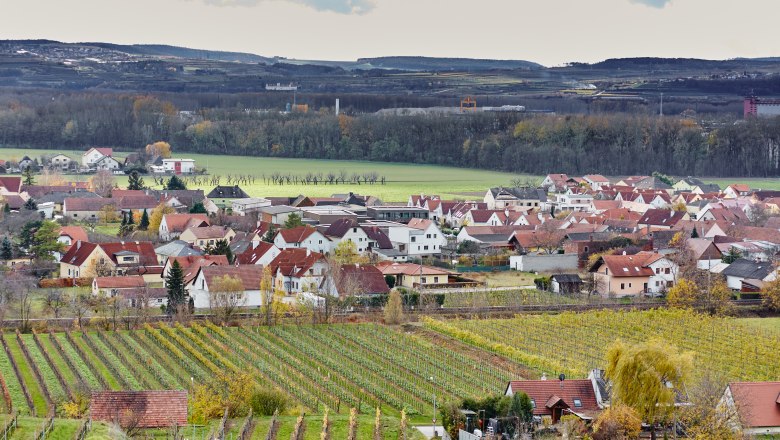 Rohrendorf, © Heiderer Blick auf das Dorf Rohrendorf mit Weinbergen im Vordergrund und Hügeln im Hintergrund.