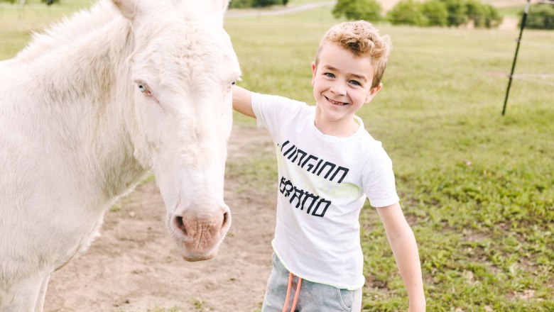 Wachauer Eselabenteuer, © Niederösterreich Werbung / Stefan Fürtbauer Wachauer Eselabenteuer, © Niederösterreich Werbung / Stefan Fürtbauer