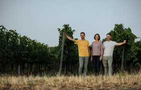 Geschwister Ewald, Maria und Christian, © Michael Reidinger Drei Personen stehen in einem Weinberg zwischen Reben.