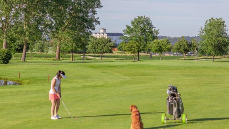 Golfclub Weitra, © www.michaelholzweber.com Golferin mit Hund auf grünem Golfplatz, Bäume und Gebäude im Hintergrund.