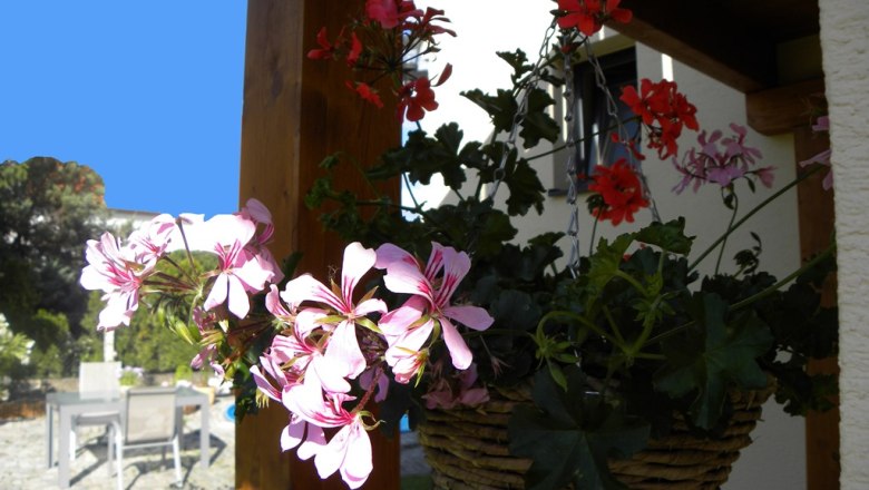 Gartenbereich, © Thomas Baldauf Gartenbereich, © Thomas Baldauf