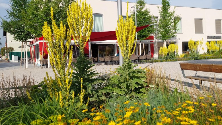 Garten in Lanzenkirchen, © Koll GmbH Garten in Lanzenkirchen, © Koll GmbH