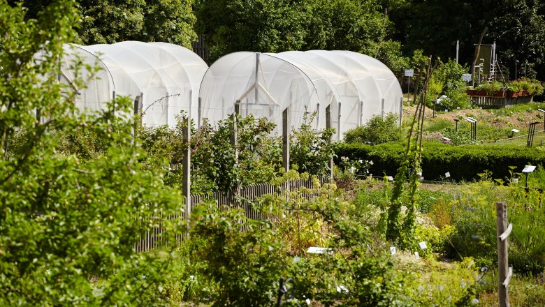 ARCHE NOAH, © ARCHE NOAH_Rupert Pessl Gewächshäuser in einem grünen Garten mit verschiedenen Pflanzen und Bäumen.