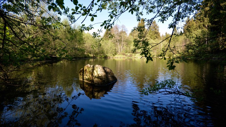 privater Waldteich, © SSz privater Waldteich, © SSz