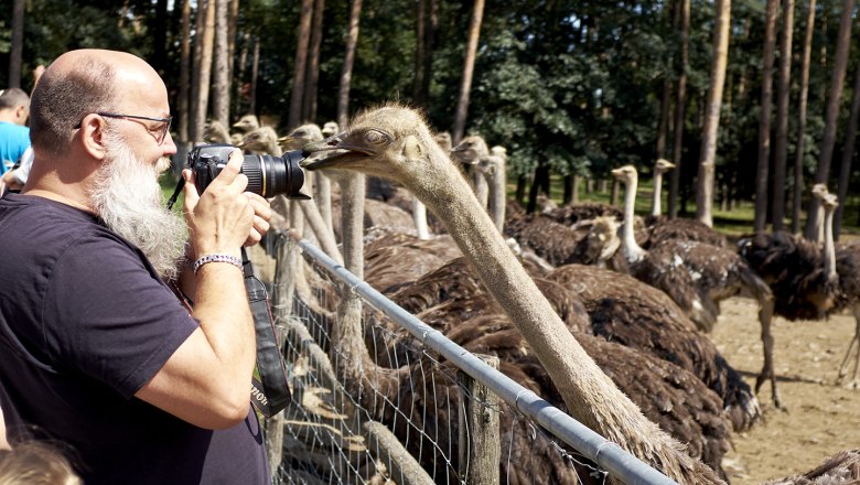 dscf1110_web, © Straußenland dscf1110_web, © Straußenland