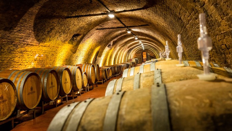 Fasskeller, © Weingut Liechtenstein Ein Weinkeller mit vielen Holzfässern in einem gewölbten, beleuchteten Raum.