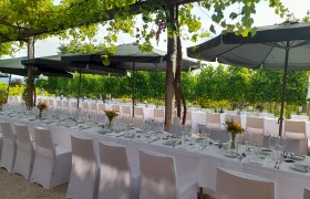 Tafeln im Weinviertel, © Weinviertel Tourismus GmbH Elegante, lange Tische mit weißen Tischdecken und Sonnenblumen in einem Garten mit Weinreben.